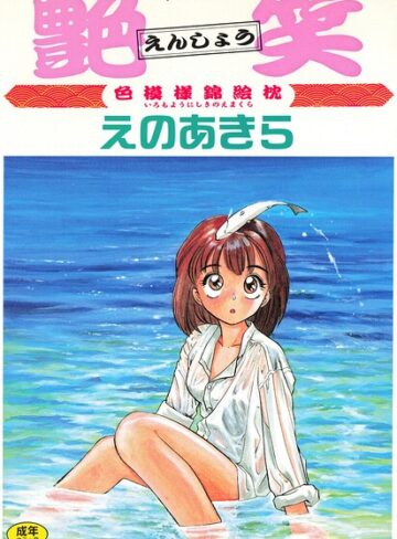 艶笑 色模様錦絵枕❤えのあきら 【単行本】★