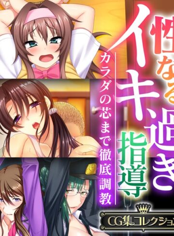 性なるイキ過ぎ指導 〜カラダの芯まで徹底調教〜 【CG集コレクション】❤大人のSEXY絵本 【単行本】★