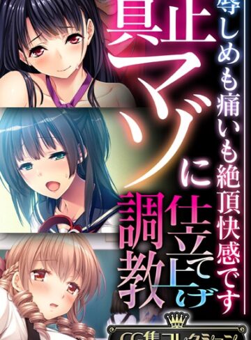 真正マゾに仕立て上げ調教 〜辱しめも痛いも絶頂快感です〜【CG集コレクション】❤大人のSEXY絵本 【単行本】★
