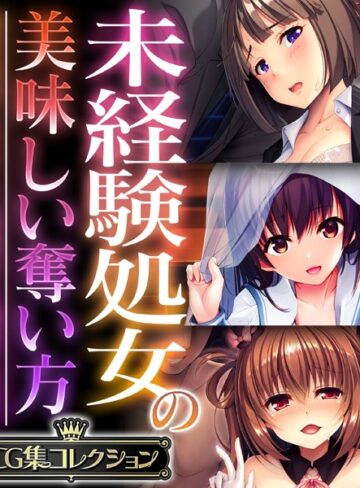 未経験処女の美味しい奪い方 〜溺愛純愛もいいし、無理やり調教も良き〜【CG集コレクション】❤大人のSEXY絵本 【単行本】★