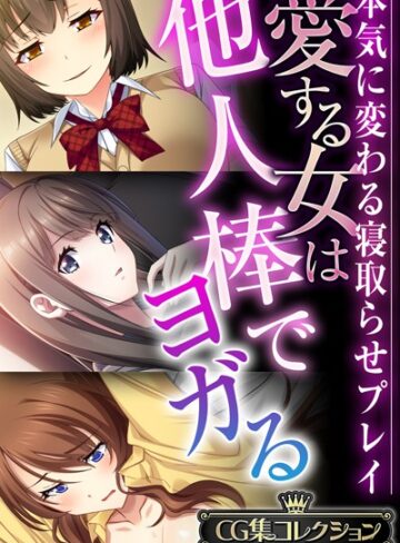 愛する女は他人棒でヨガる 〜本気に変わる寝取らせプレイ〜【CG集コレクションBIG】❤大人のSEXY絵本 【単行本】★
