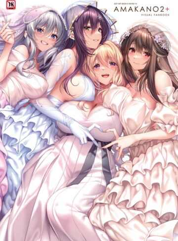 アマカノ2＋ ビジュアルファンブック❤ピロ水 【イラスト・CG集】★4.80